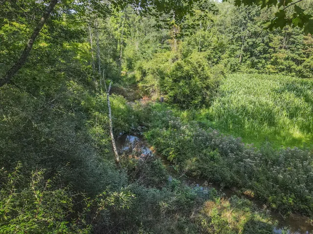 $996,000 | 1609 South Sage Lake Road, Hale, MI 48739