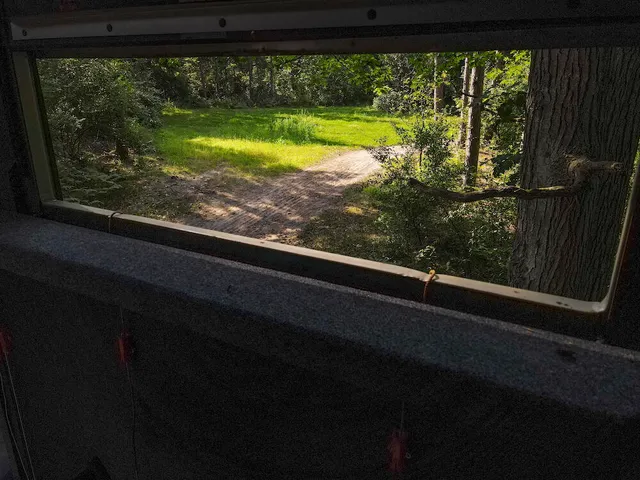 $996,000 | 1609 South Sage Lake Road, Hale, MI 48739