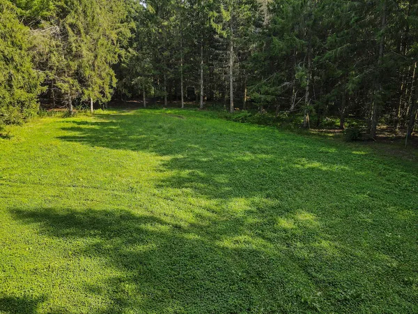 $875,000 | 1609 South Sage Lake Road, Hale, MI 48739