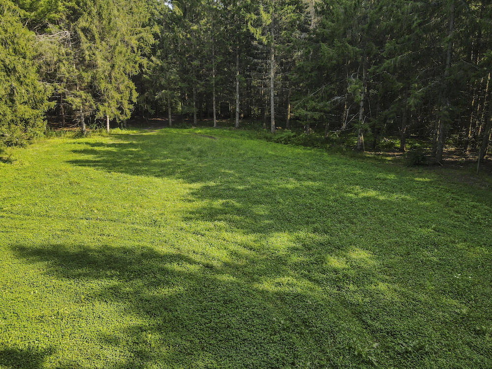 1609 South Sage Lake Road Hale, MI 48739 - Photo 50 of 164 Hale Property-0105