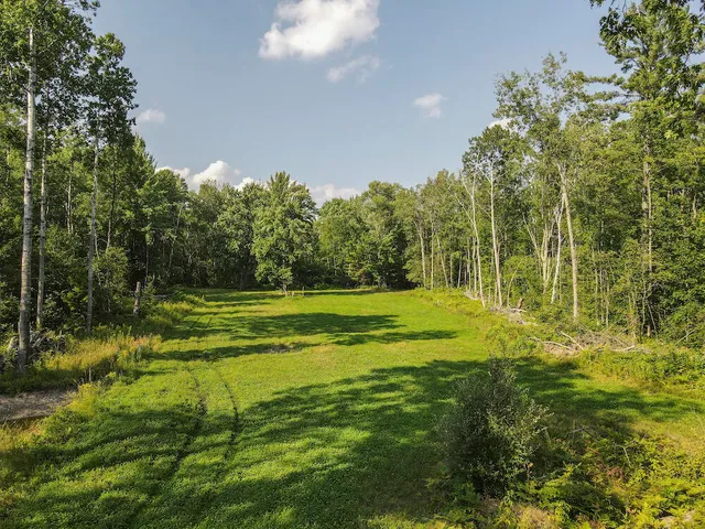 $996,000 | 1609 South Sage Lake Road, Hale, MI 48739