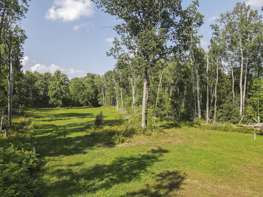 1609 South Sage Lake Road Hale, MI 48739 - Photo 52 of 164 Hale Property-0108