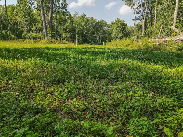 $875,000 | 1609 South Sage Lake Road, Hale, MI 48739