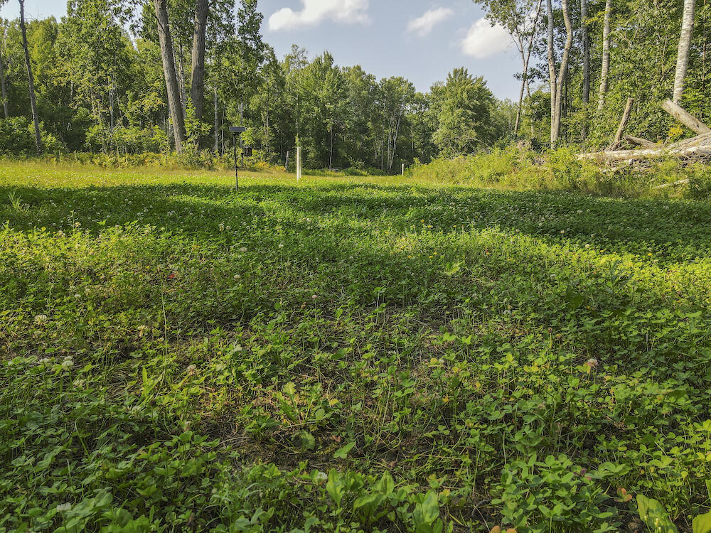 1609 South Sage Lake Road Hale, MI 48739 - Photo 53 of 164 Hale Property-0114