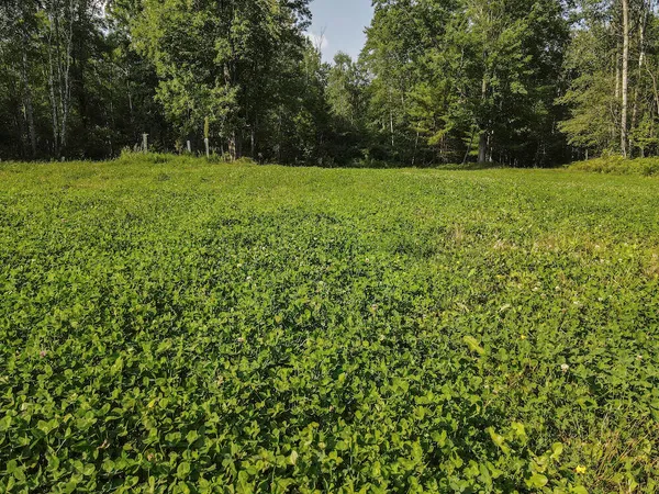 $875,000 | 1609 South Sage Lake Road, Hale, MI 48739