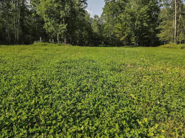 $996,000 | 1609 South Sage Lake Road, Hale, MI 48739