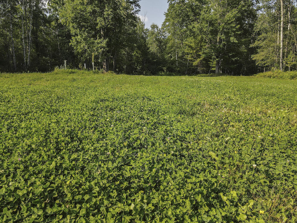 1609 South Sage Lake Road Hale, MI 48739 - Photo 54 of 164 Hale Property-0115