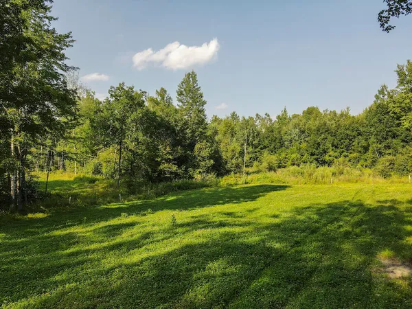 $875,000 | 1609 South Sage Lake Road, Hale, MI 48739