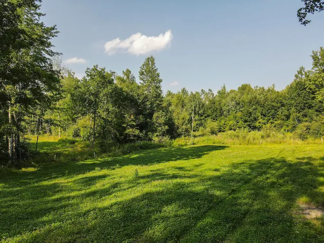 $996,000 | 1609 South Sage Lake Road, Hale, MI 48739