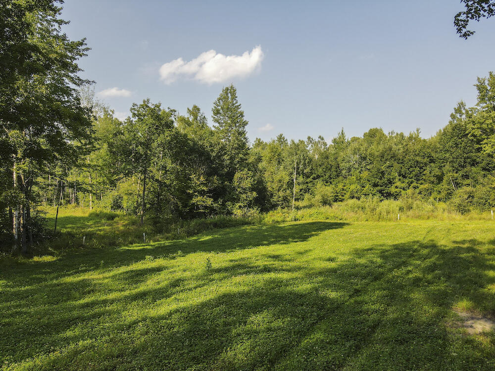 1609 South Sage Lake Road Hale, MI 48739 - Photo 56 of 164 Hale Property-0126