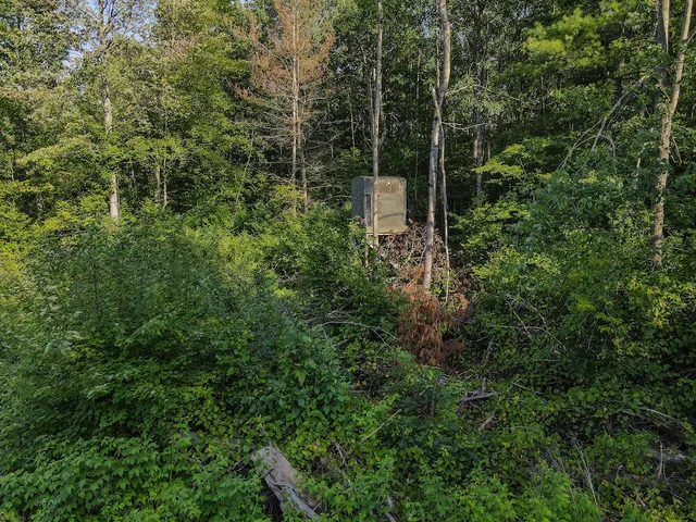 $996,000 | 1609 South Sage Lake Road, Hale, MI 48739