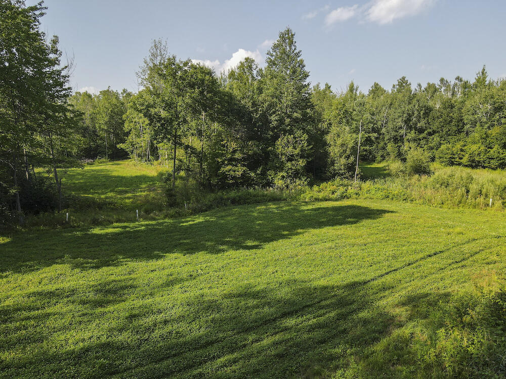 1609 South Sage Lake Road Hale, MI 48739 - Photo 58 of 164 Hale Property-0129