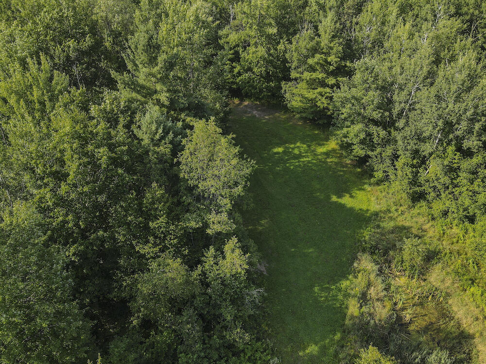 1609 South Sage Lake Road Hale, MI 48739 - Photo 59 of 164 Hale Property-0130