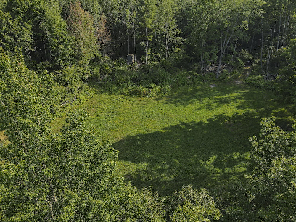 1609 South Sage Lake Road Hale, MI 48739 - Photo 61 of 164 Hale Property-0135