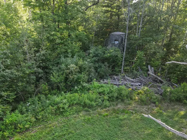 $996,000 | 1609 South Sage Lake Road, Hale, MI 48739