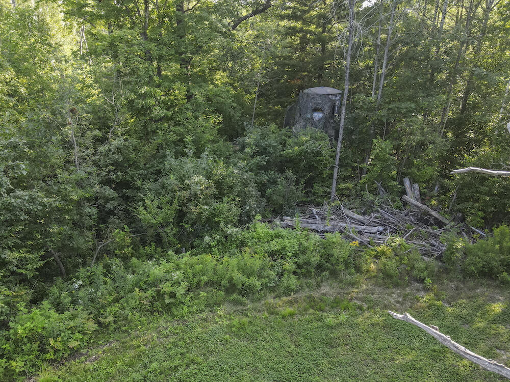 1609 South Sage Lake Road Hale, MI 48739 - Photo 62 of 164 Hale Property-0150