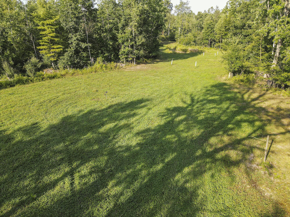 1609 South Sage Lake Road Hale, MI 48739 - Photo 63 of 164 Hale Property-0151