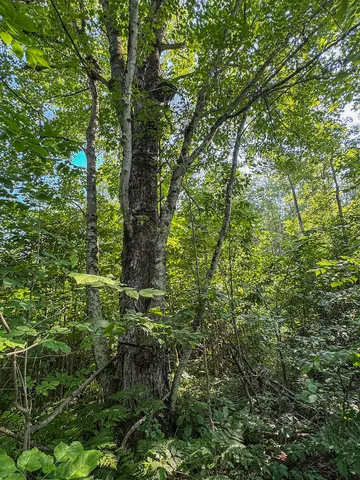 $996,000 | 1609 South Sage Lake Road, Hale, MI 48739