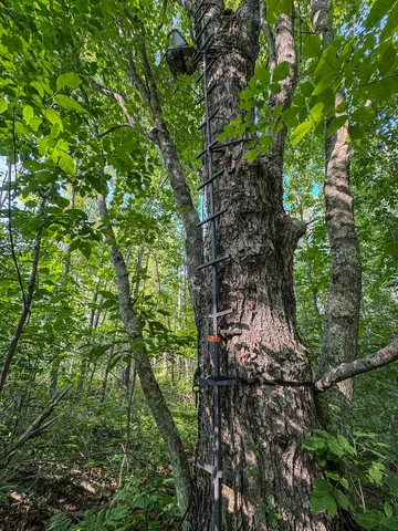 $996,000 | 1609 South Sage Lake Road, Hale, MI 48739