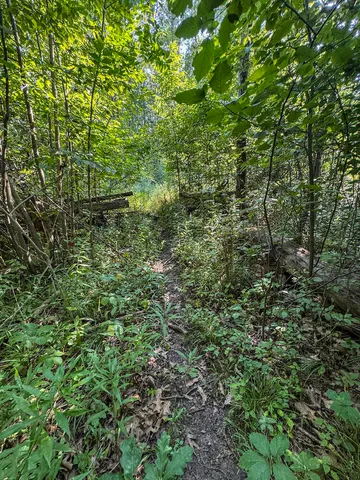 $996,000 | 1609 South Sage Lake Road, Hale, MI 48739