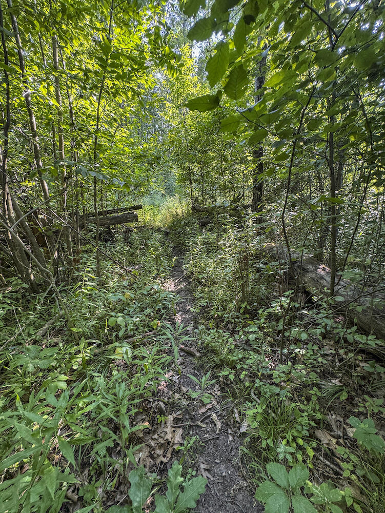 1609 South Sage Lake Road Hale, MI 48739 - Photo 67 of 164 Hale Property-4426