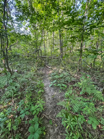 $996,000 | 1609 South Sage Lake Road, Hale, MI 48739