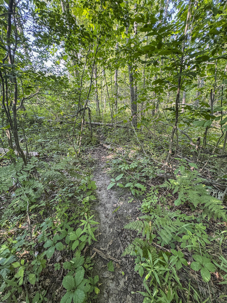 1609 South Sage Lake Road Hale, MI 48739 - Photo 68 of 164 Hale Property-4428