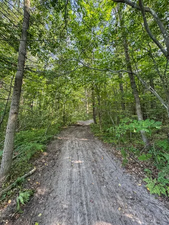 $875,000 | 1609 South Sage Lake Road, Hale, MI 48739