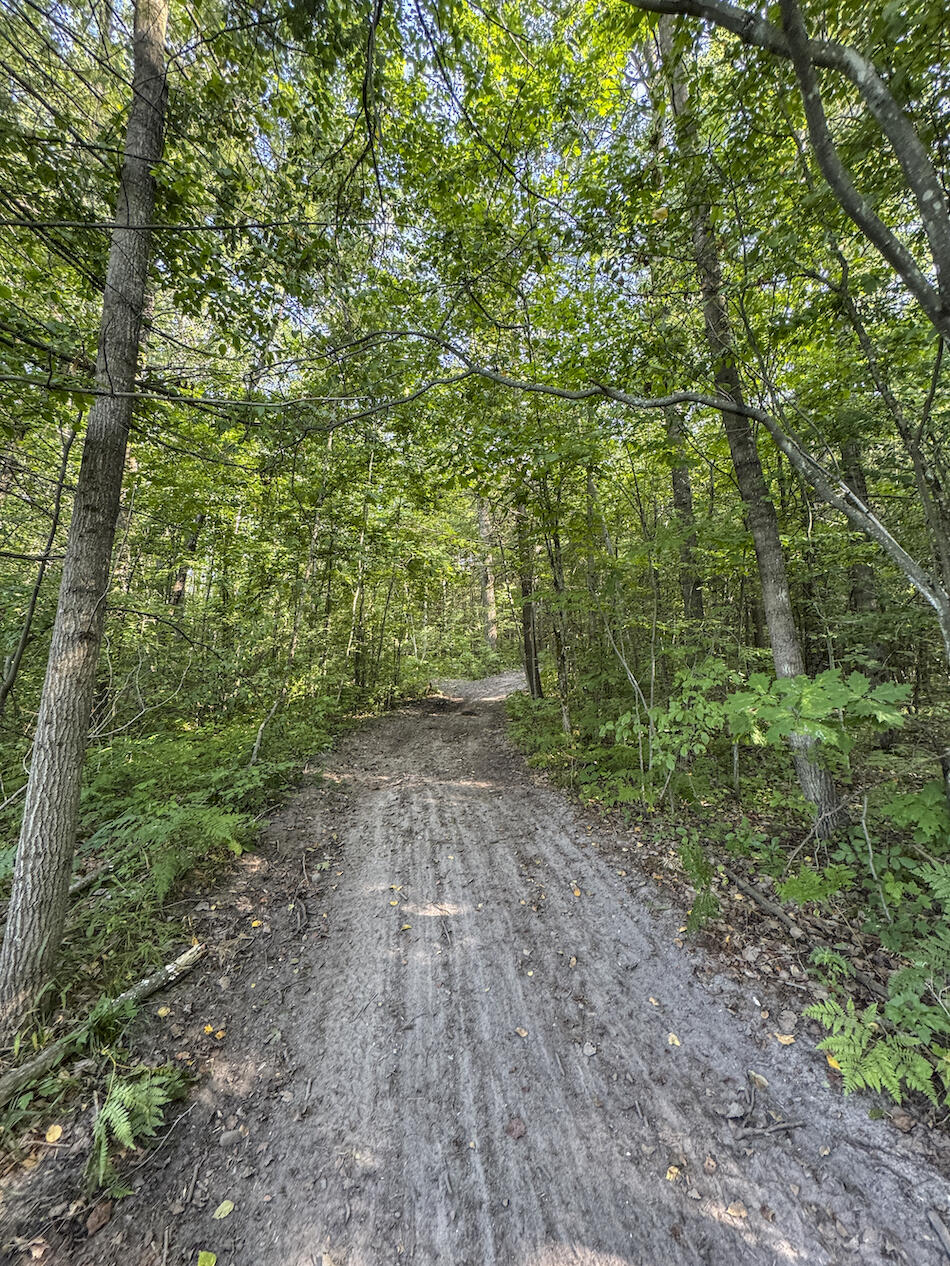 1609 South Sage Lake Road Hale, MI 48739 - Photo 70 of 164 Hale Property-4430