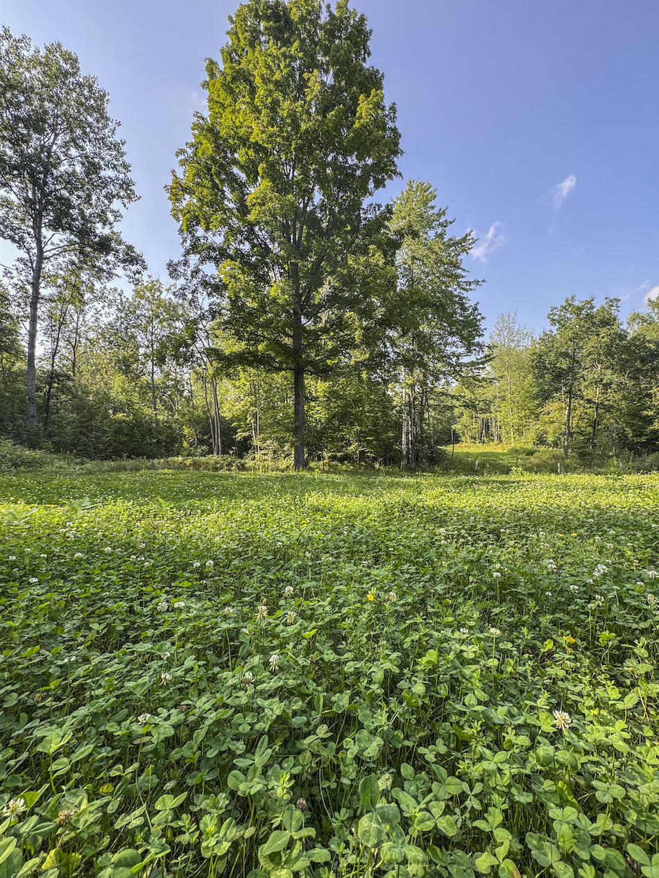 1609 South Sage Lake Road Hale, MI 48739 - Photo 71 of 164 Hale Property-4433