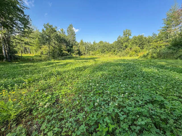 $996,000 | 1609 South Sage Lake Road, Hale, MI 48739