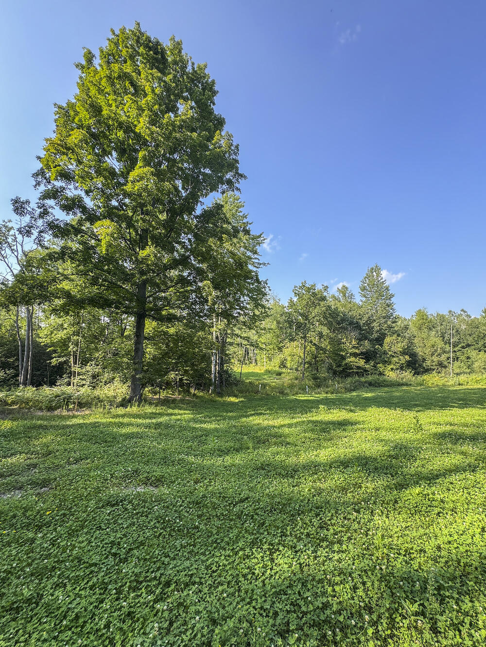 1609 South Sage Lake Road Hale, MI 48739 - Photo 73 of 164 Hale Property-4435