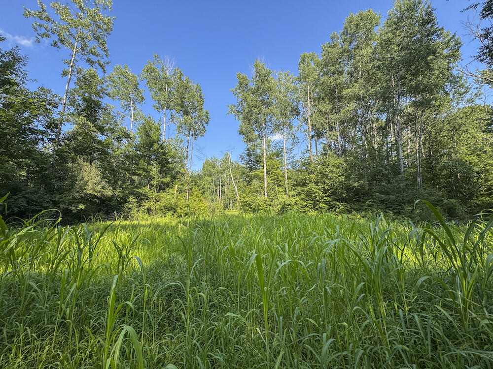 1609 South Sage Lake Road Hale, MI 48739 - Photo 74 of 164 Hale Property-4437