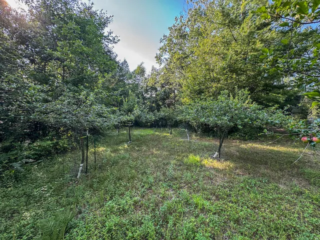 $996,000 | 1609 South Sage Lake Road, Hale, MI 48739