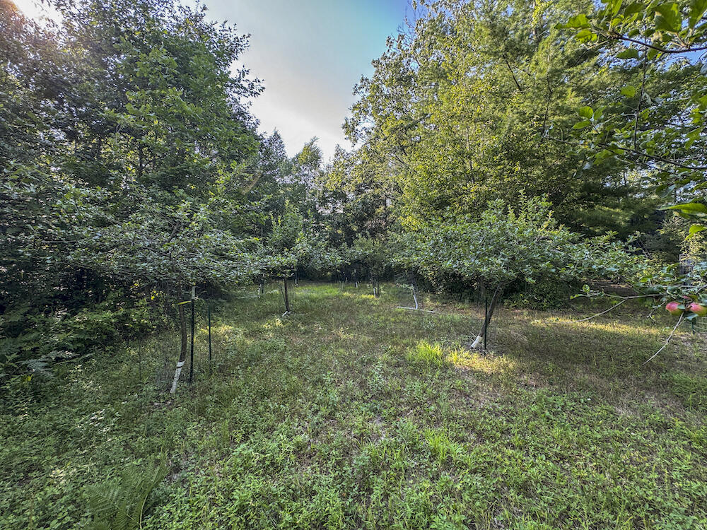 1609 South Sage Lake Road Hale, MI 48739 - Photo 75 of 164 Hale Property-4442