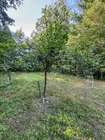 $875,000 | 1609 South Sage Lake Road, Hale, MI 48739