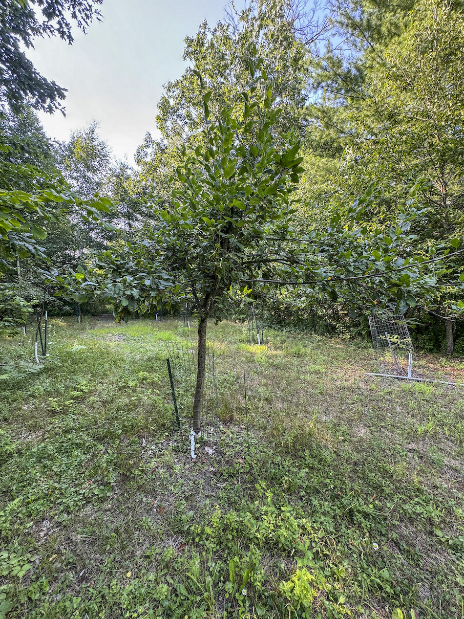 1609 South Sage Lake Road Hale, MI 48739 - Photo 76 of 164 Hale Property-4443