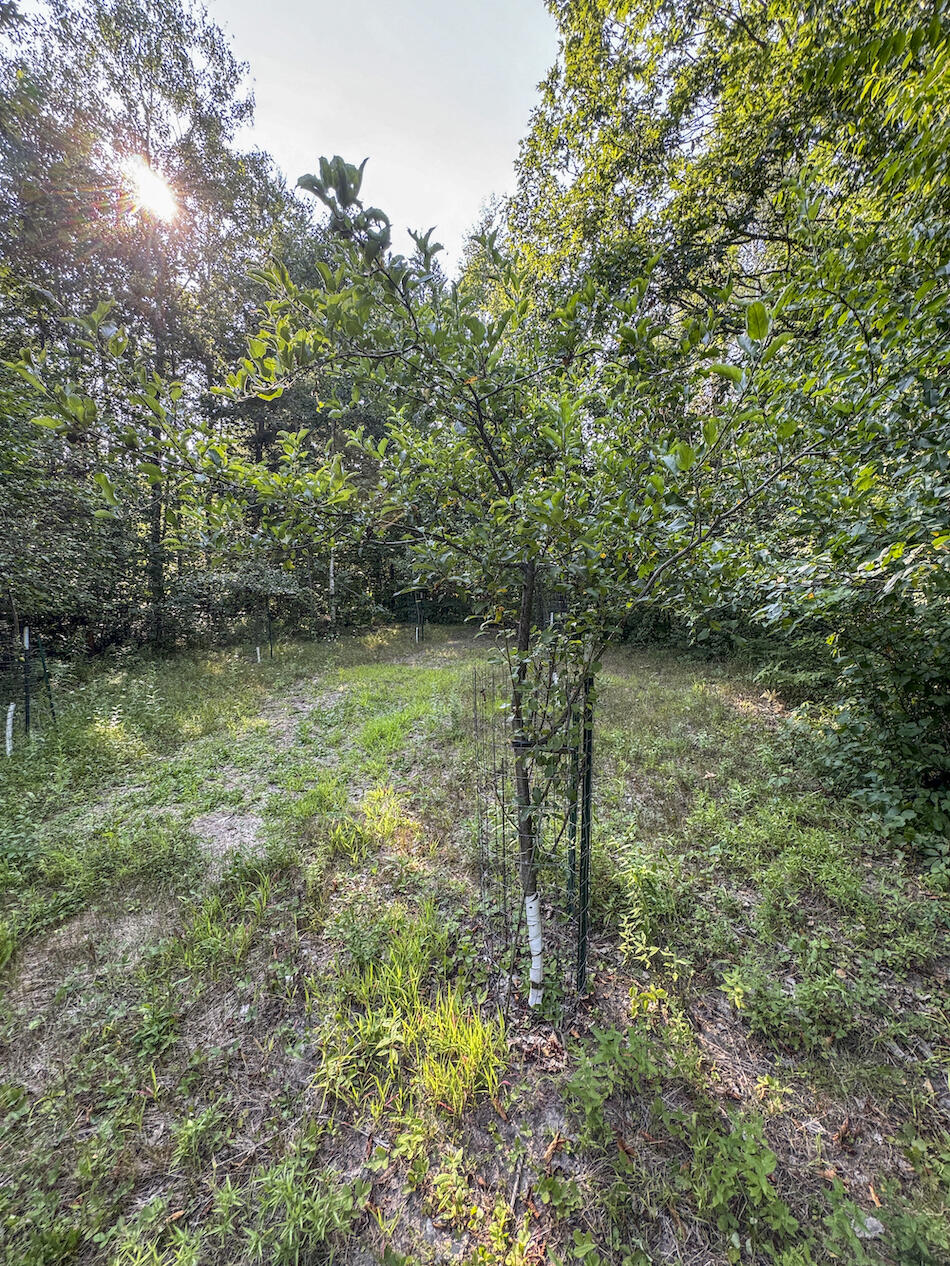 1609 South Sage Lake Road Hale, MI 48739 - Photo 78 of 164 Hale Property-4445
