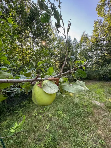 $996,000 | 1609 South Sage Lake Road, Hale, MI 48739