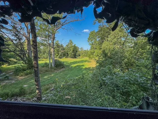 $996,000 | 1609 South Sage Lake Road, Hale, MI 48739