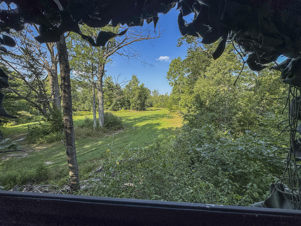 1609 South Sage Lake Road Hale, MI 48739 - Photo 82 of 164 Hale Property-4451
