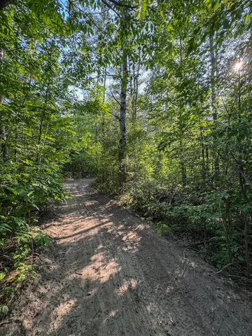 $996,000 | 1609 South Sage Lake Road, Hale, MI 48739