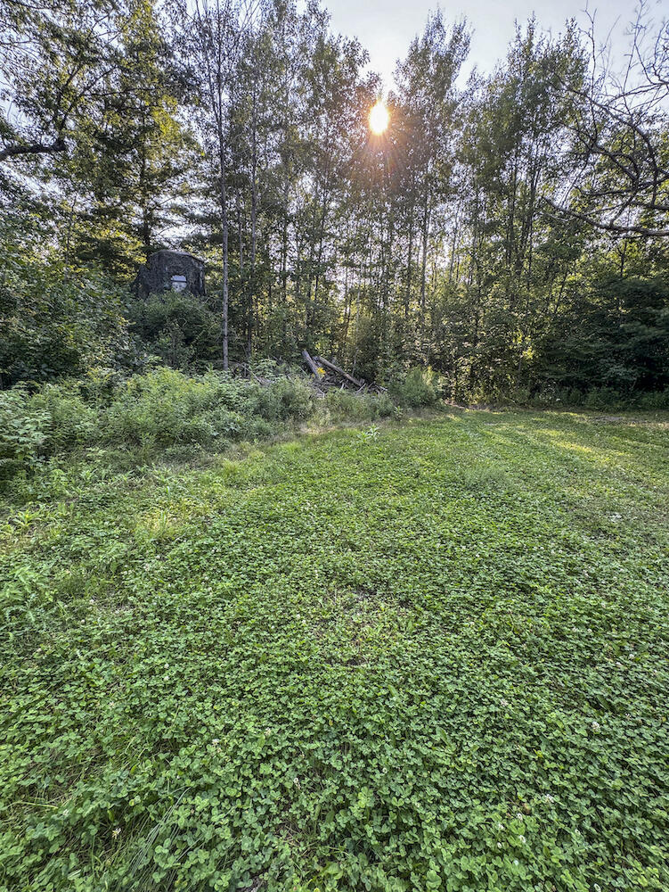 1609 South Sage Lake Road Hale, MI 48739 - Photo 84 of 164 Hale Property-4457