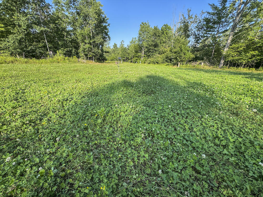 1609 South Sage Lake Road Hale, MI 48739 - Photo 85 of 164 Hale Property-4458