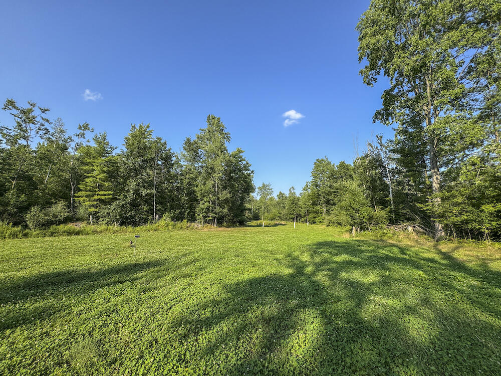 1609 South Sage Lake Road Hale, MI 48739 - Photo 86 of 164 Hale Property-4459