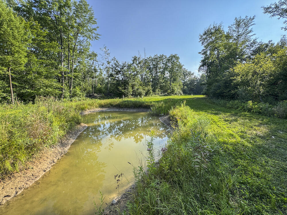 1609 South Sage Lake Road Hale, MI 48739 - Photo 88 of 164 Hale Property-4463