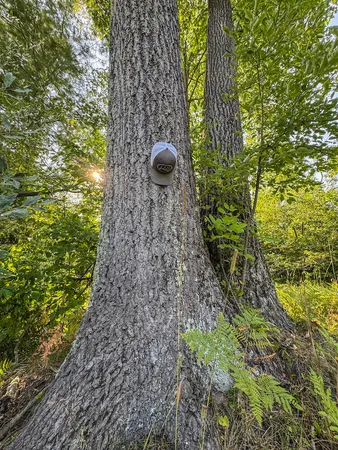 $875,000 | 1609 South Sage Lake Road, Hale, MI 48739
