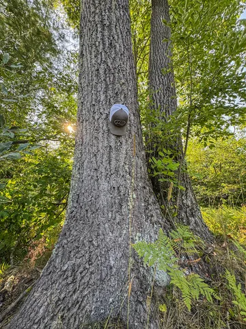 $996,000 | 1609 South Sage Lake Road, Hale, MI 48739