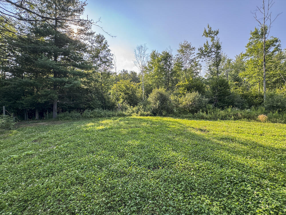 1609 South Sage Lake Road Hale, MI 48739 - Photo 90 of 164 Hale Property-4466
