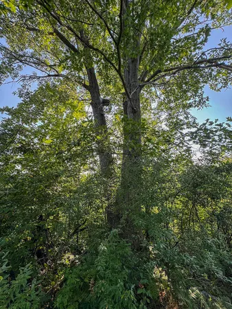$875,000 | 1609 South Sage Lake Road, Hale, MI 48739